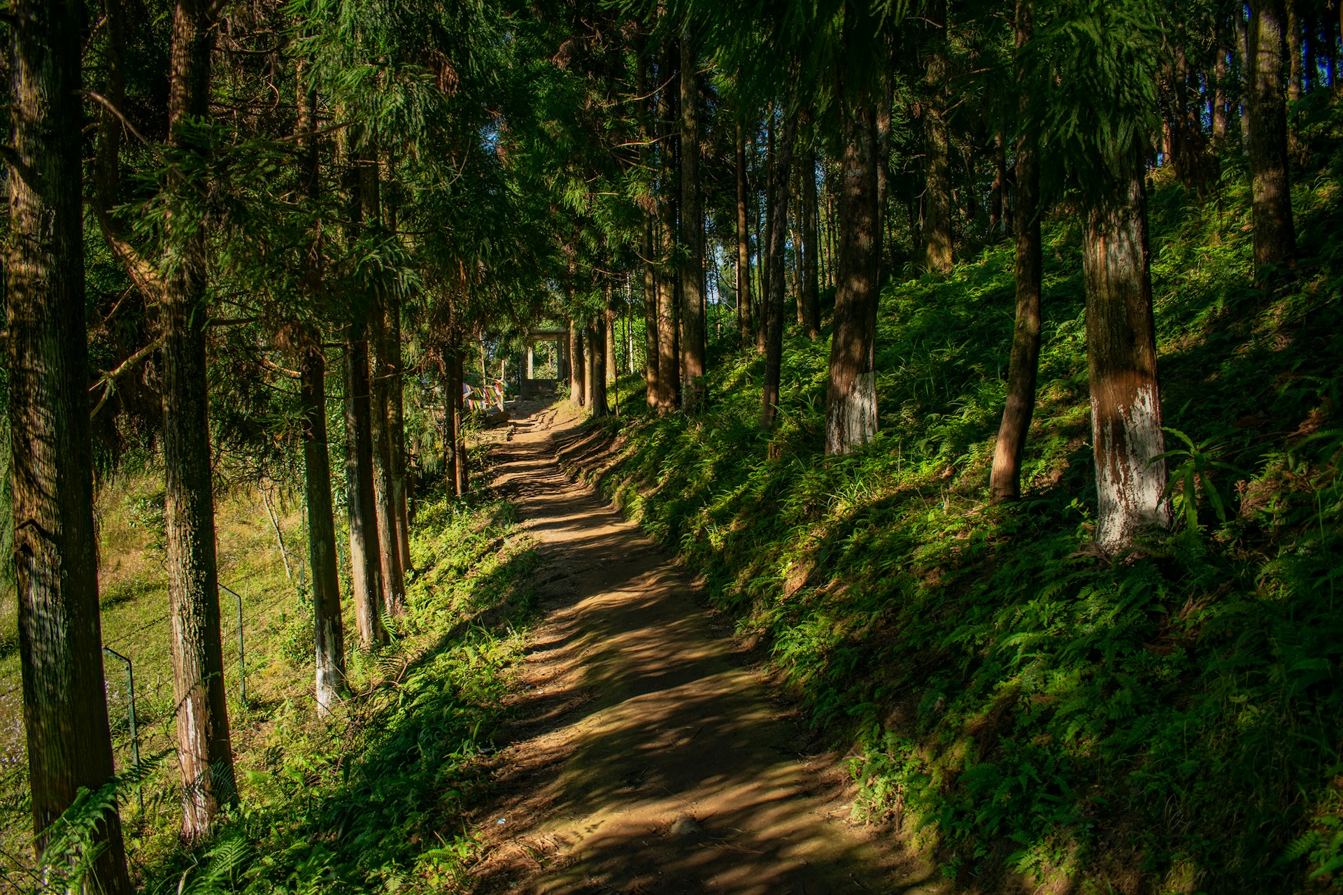 Sikkim